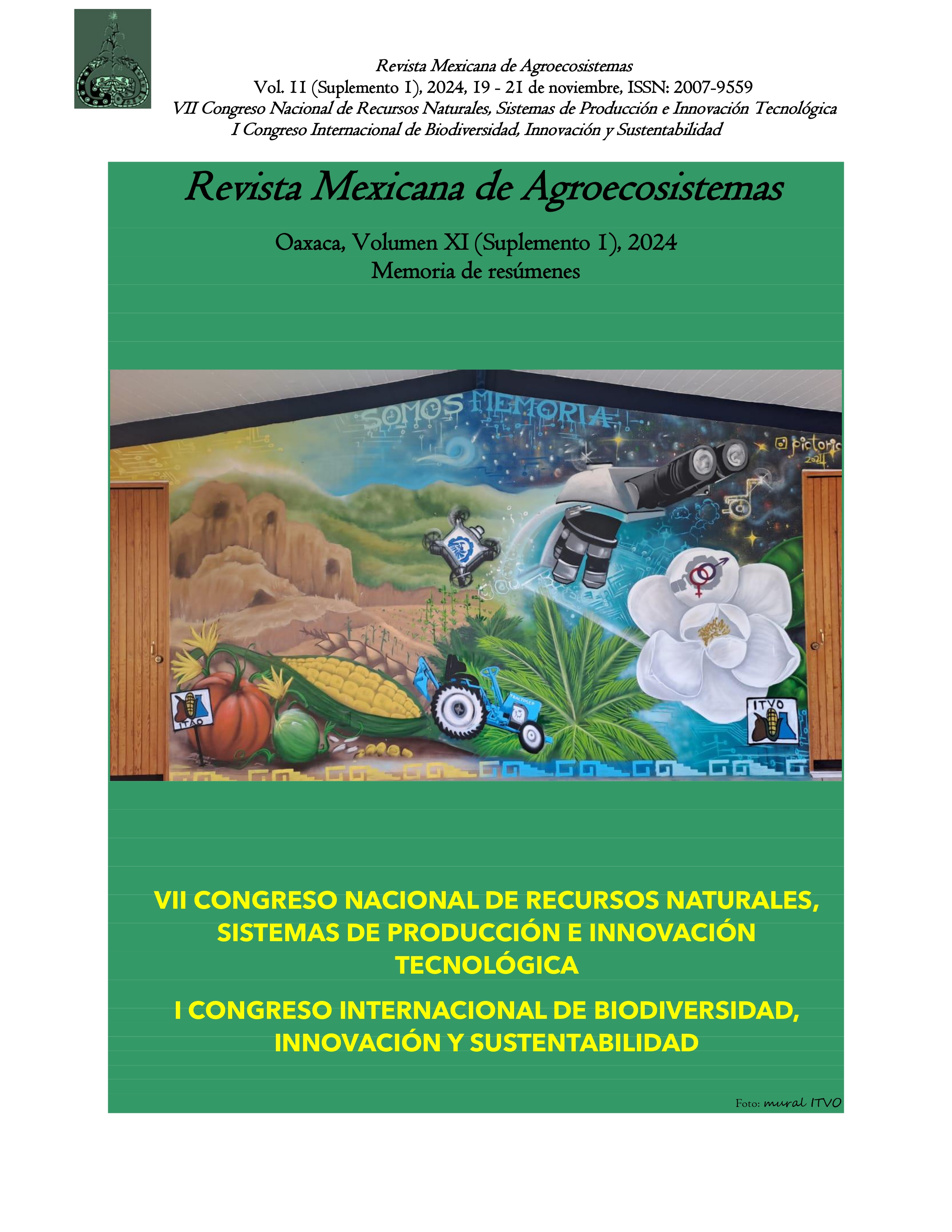 Portada memoria CIBIS 2024 